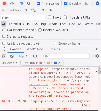 Not loading assets - Website Bugs - Developer Forum